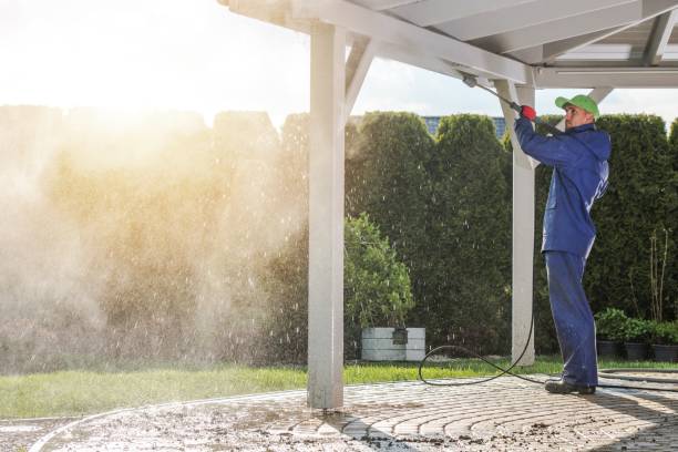 Best Soft Washing  in Vinco, PA